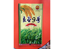 良谷9号