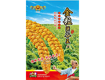金粒巨谷王