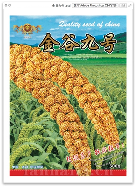 金谷九号