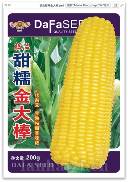 甜糯金大棒