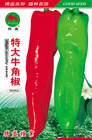   特大牛角椒