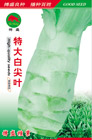   特大白尖叶