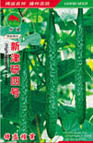   新津研四号