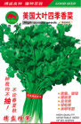   美国大叶四季香菜