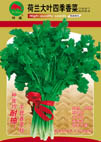   荷兰大叶四季香菜