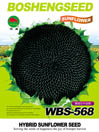   WBS-568