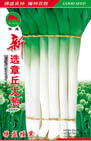   新选章丘大葱