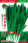   西北冬韭