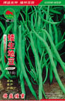  矮生地豆