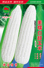   美糯白甜玉米