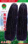   黑糯甜玉米