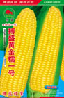   搏盛黄金糯一号