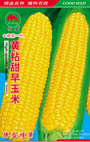   黄粘甜早玉米