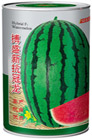   搏盛新抗冠龙