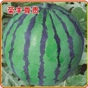 荣丰尊贵