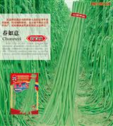 春如意·早熟品种