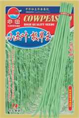 小五叶极早王·早熟品种