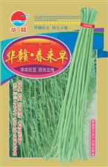 华赣·春来早·早熟品种