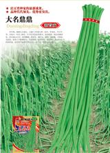 大名鼎鼎·早中熟品种