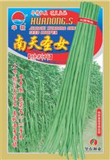 南天圣女·早中熟品种