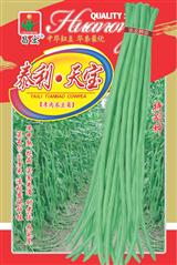 泰利·天宝·早中熟品种