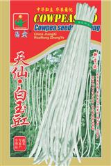 天仙·白玉豇·特色品种