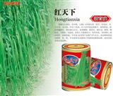 红天下·罐装品种