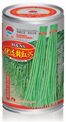优选赣豇35·罐装品种