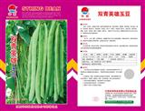双青英雄玉豆·四季豆