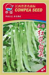 泰国红花白荚架豆·四季豆
