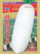 特选马耳早·萝卜