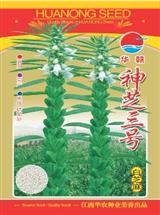 白芝麻