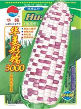 花糯玉米