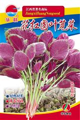 苋菜