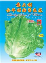 生菜