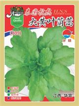 茼蒿
