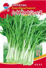 空心菜