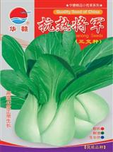 抗热将军·青菜
