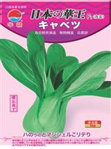 日本华王·青菜