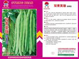 双青英雄·四季豆