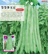 节节多玉豆·四季豆