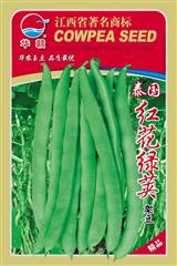 泰国红花绿荚架豆·四季豆