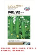 环球八号