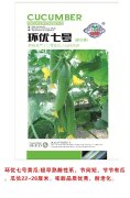 环球七号