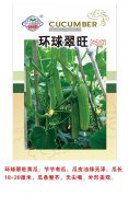 环球翠旺