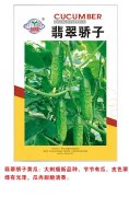 翡翠娇子