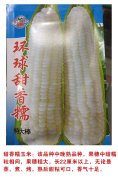 环球香甜糯