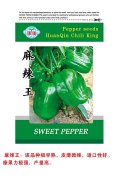 麻辣王