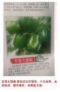 至尊大甜椒