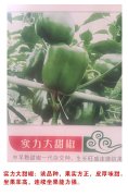 实力大甜椒